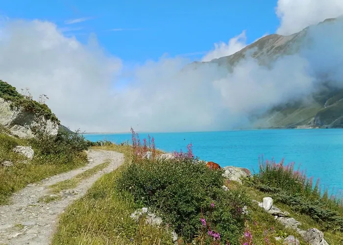 公寓 Cosy - Acces Direct Piscine Et