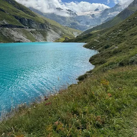 Cosy - Accès Direct Piscine Et * Zinal